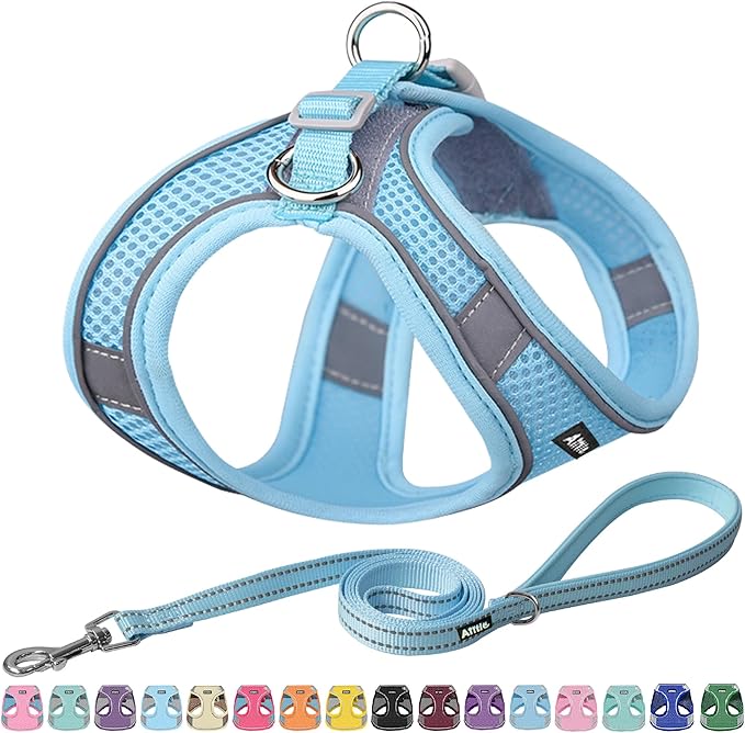 AIITLE Escape Proof Dog Harness - Step in Adjustable Dog Harness No Choke Over with Breathable Mesh and Quick-Release Buckle for All Weather- Outdoor Walking, Training for Medium Dogs Pure Blue XL