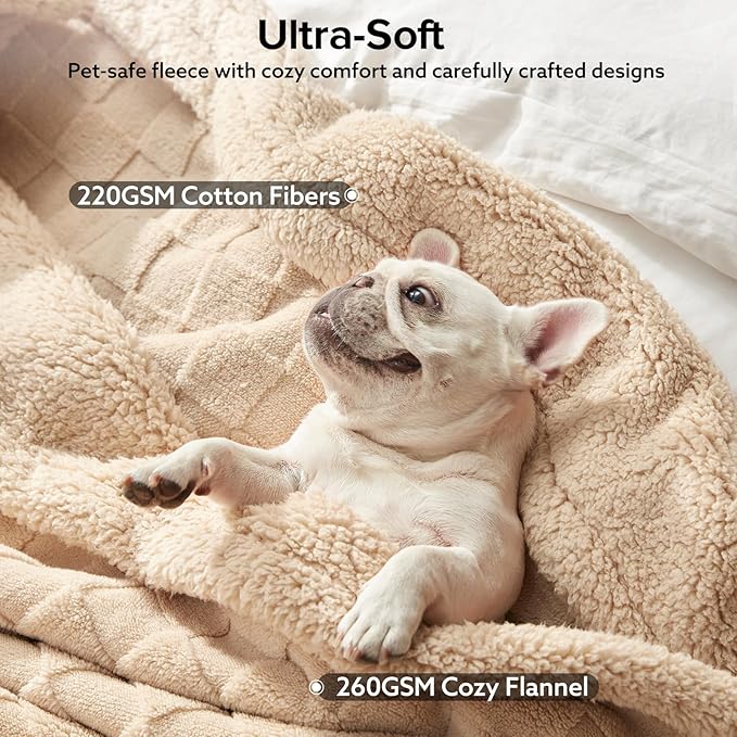GASUR Waterproof Dog Blankets for Small Dogs, Dog Blanket for Couch Bed, Fleece Pet Blanket for Furniture Sofa Protector, Soft Puppy Throw Blankets for Crate Car Outdoor, Washable, 25"x35", Beige