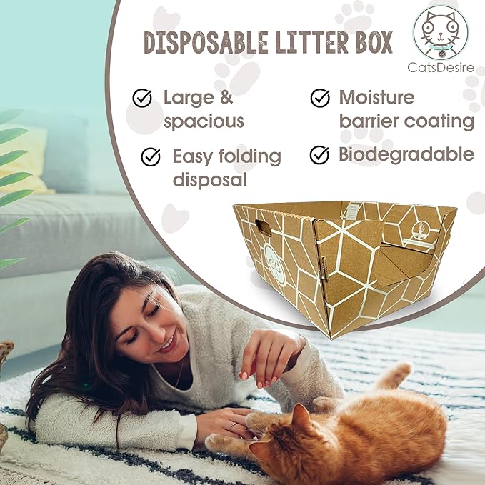 Cats Desire Disposable Litter Box No Plastic Solution (10 Tray) w/ Low Entry & Enclosed Box - Teal on Natural Brown, Made in USA Woman Owned, 19"L x 17"W x 8.5"H tray - 19"L x 17"W x 17"H enclosed box