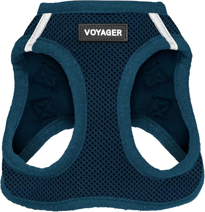 Best Pet Supplies Voyager Step-in Air Harness - All Weather Mesh, Reflective, No Pull Harness for Dogs, Cats - Secure with Hook & Loop Fastener, Buckle, Double D-Rings - Blue, L
