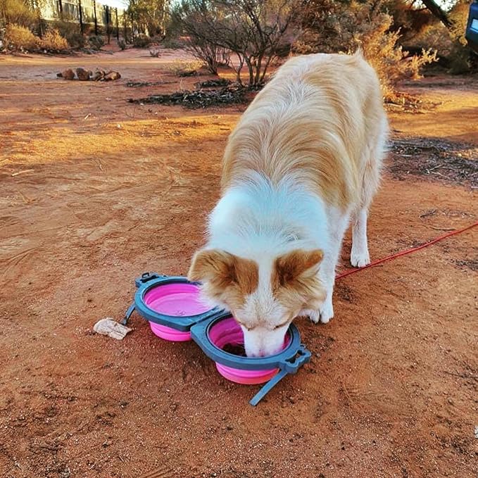Loving Pets - Bella Roma Double Diner Portable Travel Dog Bowls Collapsible Combined Dog Food & Water Bowls (Pink, Medium)