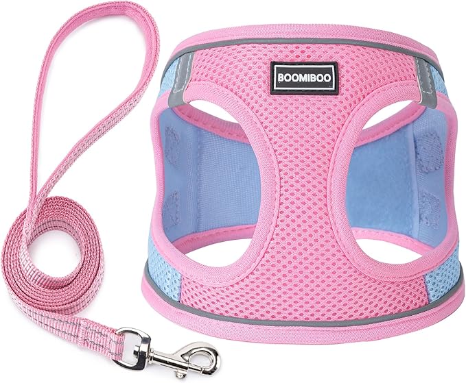 Dog Harness with Leash Set, No Pull Adjustable Reflective Step-in Puppy Pet Vest Harnesses for Small Medium Large Dogs and Cats,Pink Green M
