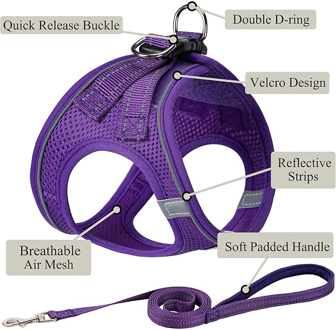 Dog Harness with Leash Set, No Pull Adjustable Reflective Step-in Puppy Pet Vest Harnesses for Small Medium Large Dogs and Cats,Purple XXS