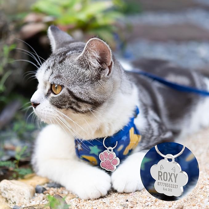 EDSG Cat Dog Tags Personalized for Pets, Dog Name Tags Cat Name ID Tag, Engraved Dog Tags Dog ID Tags Small Glitter Bling ID Tag Paw Print for Cat Pet Dog Puppy(Blue,Design 2)