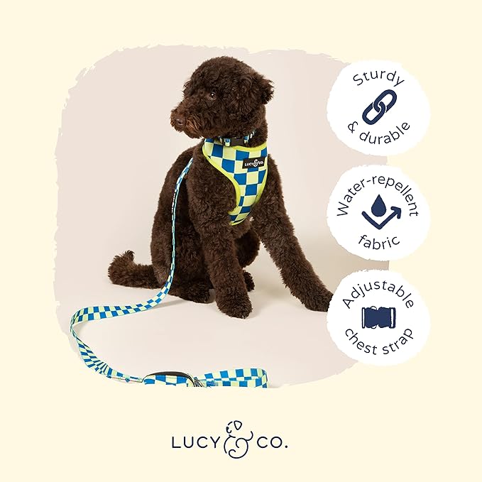 Lucy & Co. Lime Green with Blue Checker Smiley Faces, Cute Reversible Dog Harness Walking Halter - Best Designer Pet Harnesses for XS - XL Dogs - Padded Adjustable Vest for Easy Walking (X-Small)