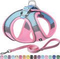 AIITLE Step in Dog Harness and Leash Set - No Pull Escape Proof Vest Harnesses with Soft Mesh and Reflective Bands, Adjustable Pet Outdoor Harnesses for Small and Medium Dogs Pink M