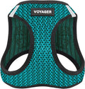 Best Pet Supplies Voyager Step-in Air Harness - All Weather Mesh, Reflective, No Pull Harness for Dogs, Cats - Secure with Hook & Loop Fastener, Buckle, Double D-Rings - Turqupise 2-Tone, XL
