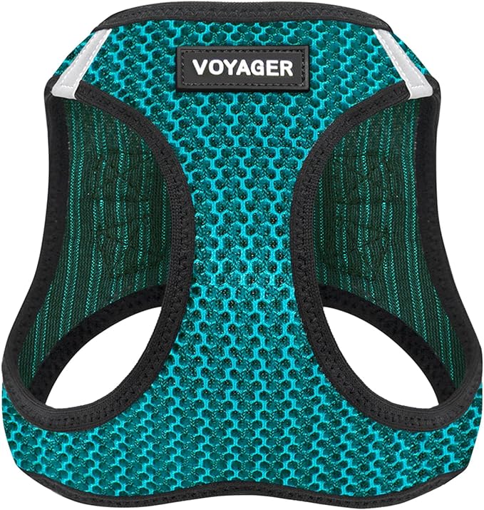 Best Pet Supplies Voyager Step-in Air Harness - All Weather Mesh, Reflective, No Pull Harness for Dogs, Cats - Secure with Hook & Loop Fastener, Buckle, Double D-Rings - Turqupise 2-Tone, XL