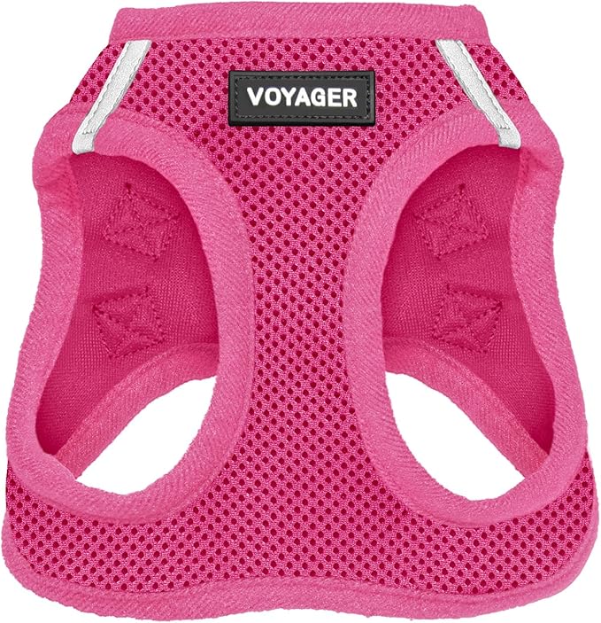 Best Pet Supplies Voyager Step-in Air Harness - All Weather Mesh, Reflective, No Pull Harness for Dogs, Cats - Secure with Hook & Loop Fastener, Buckle, Double D-Rings - Fuchsia, XL