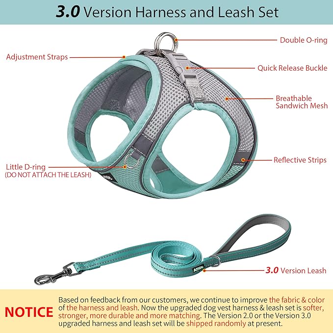 AIITLE No Pull Dog Harness and Leash Set, Step in Adjustable Dog Harness with Padded Vest for All Weather, Dog Leash with Soft Padded Handle, Easy to Put on Small and Medium Dogs Turquoise S
