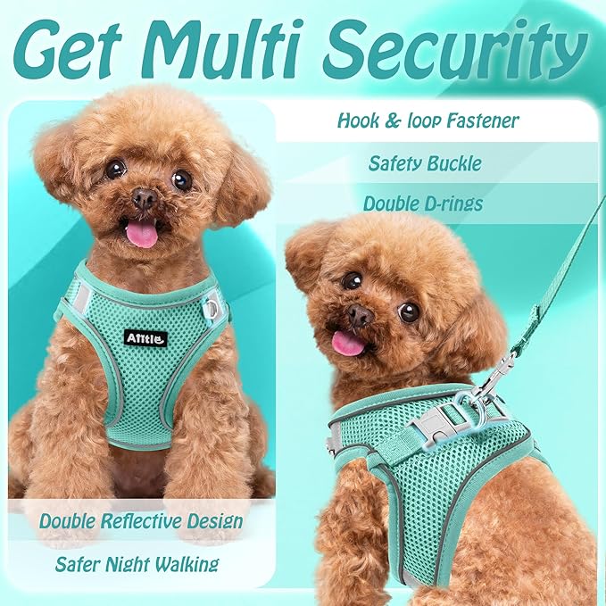 AIITLE No Pull Dog Harness and Leash Set, Step in Adjustable Dog Harness with Padded Vest for All Weather, Dog Leash with Soft Padded Handle, Easy to Put on Small and Medium Dogs Pure Turquoise S