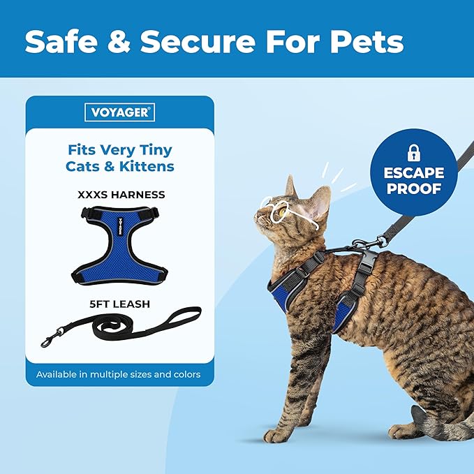 Voyager Escape-Proof Step-In Lock Cat Harness & 5ft Neoprene-Handle Leash Set All-Weather Mesh with Reflective Stitching For Small to Large Cats by Best Pet Supplies, Black Trim-Royal Blue (327), XXXS