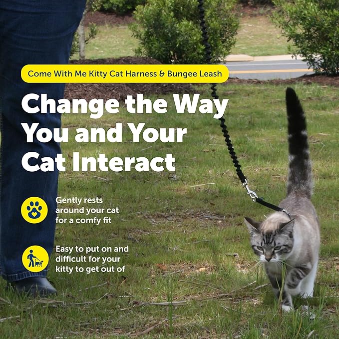 PetSafe Come With Me Kitty Cat Harness & Bungee Leash - Comfortable Cat Harness with Lightweight Bungee Leash for Outdoor Fun - More Secure Walks - Small - Lilac