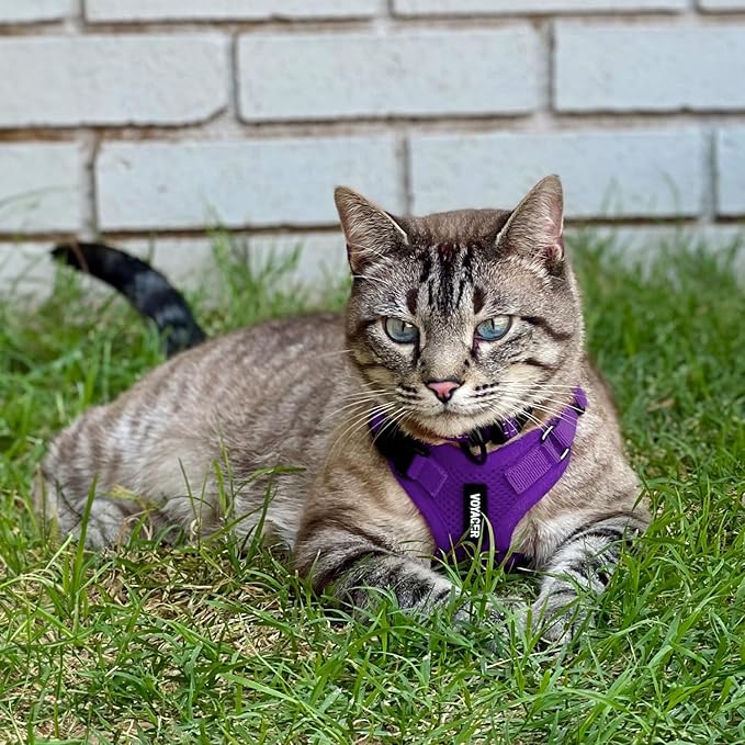 Voyager Escape-Proof Step-in Lock Cat Harness & 5ft Neoprene-Handle Leash Set All-Weather Mesh with Reflective Stitching for Small to Large Cats by Best Pet Supplies, Purple, XXXS