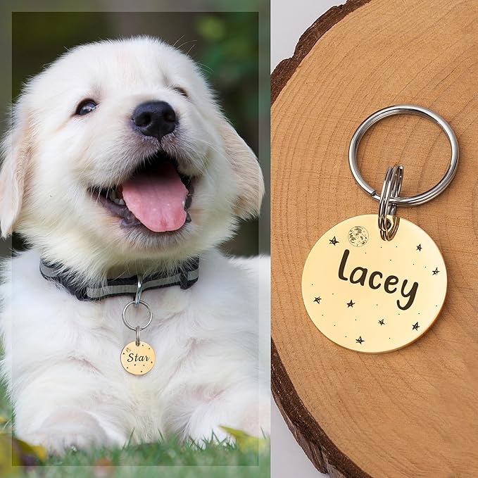 Anavia Small Size Dog Cat ID Tags, Small/XS Personalized Color Plated Stainless Steel Puppy Kitten Name Tags, Customized Engraved Nameplate Pet Collar Tag (Blue, Round)