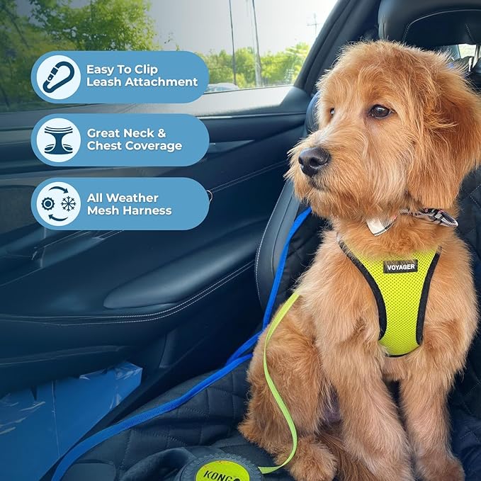 Best Pet Supplies Voyager Step-in Air All Weather Mesh Harness and Reflective Dog 5 ft Leash Combo with Neoprene Handle, for Small, Medium and Large Breed Puppies - Lime/Black Trim, X-Small