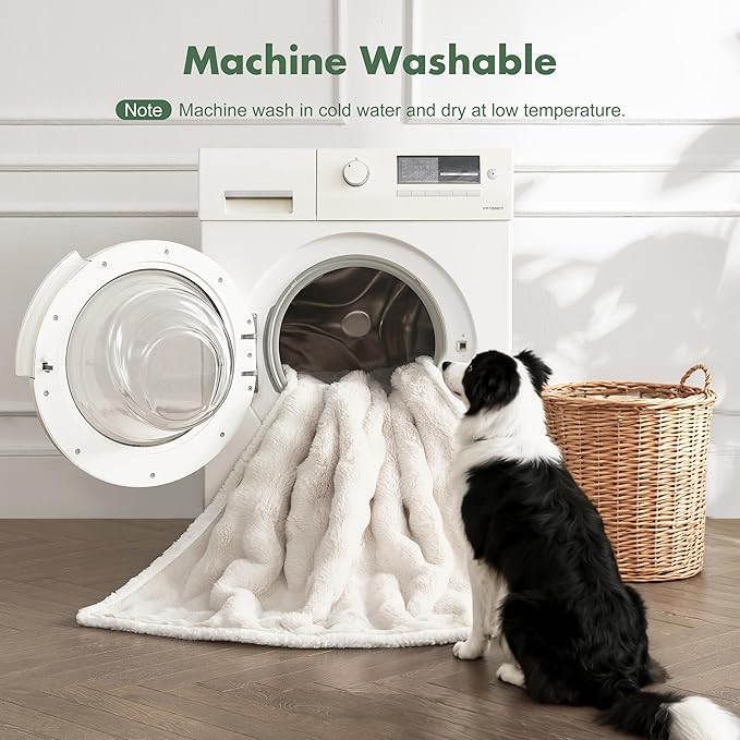Soft Cozy Waterproof Dog Blanket for Couch - Room Decor Medium Pet Blanket for Furniture Protector, Washable Calming Dog Crate Blankets for Indoors & Outdoors, Cream, 40"x50"