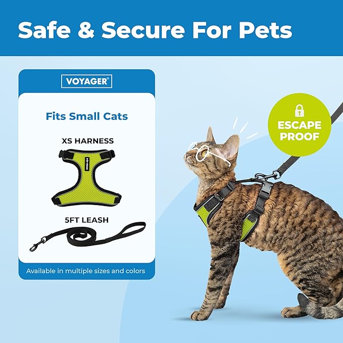 Voyager Escape-Proof Step-in Lock Cat Harness & 5ft Neoprene-Handle Leash Set All-Weather Mesh with Reflective Stitching for Small to Large Cats by Best Pet Supplies, Black Trim-Lime (327), XXS