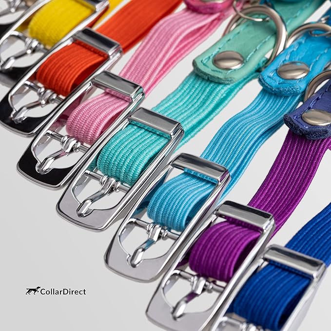 CollarDirect Leather Cat Collar, Kitten Collar with Removable Bell Black Blue Red Orange Lime Green (6-7 Inch, Purple)