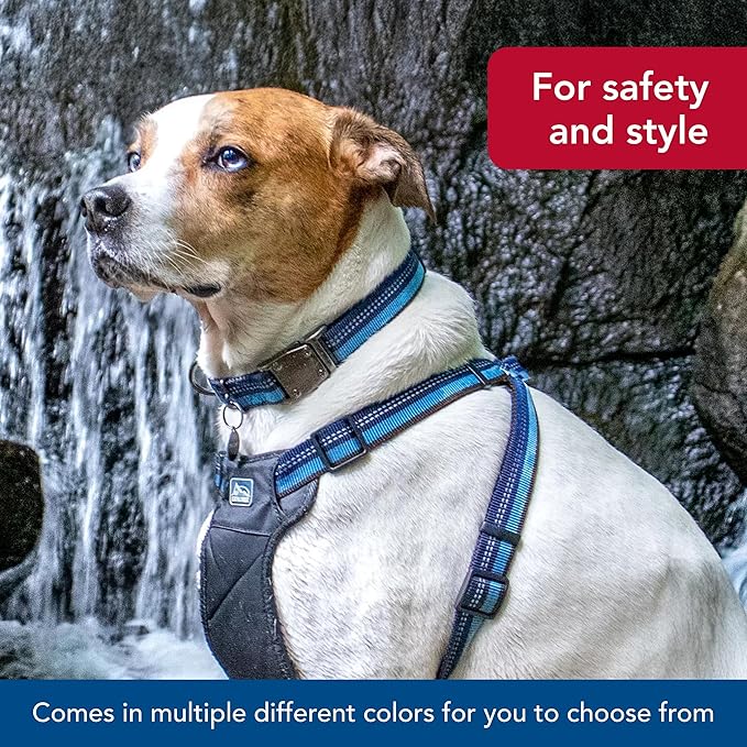 Coastal Pet K9 Explorer Reflective Adjustable Dog Collar - Comfortable Collar for The Outdoors - Durable, Lightweight Accessory with Side-Release Buckle - Fern, 5/8" x 10-14"