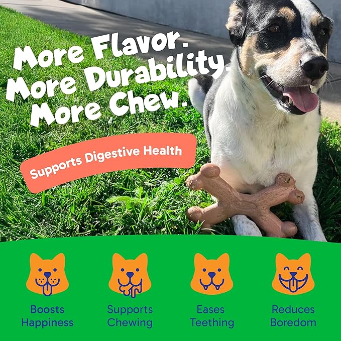 Chew’EMS X Bone Dog Chew Toy for Aggressive Chewers – Long-Lasting Chicken Flavor Nylon Bone – Durable, Rawhide-Free Dental Toy - Giant Size – Made in USA