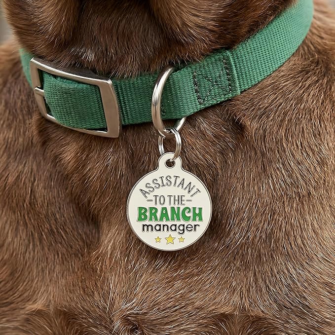 Bad Tags Personalized Dog and Cat ID Tags in 25+ Designs and 2 Sizes - 5 Lines of Custom Engraved Text - Funny Cute Personalized Pet Tags (Assistant to The Branch Manager, Large (1.25 inch))