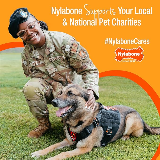 Nylabone Gourmet Style Femur Bone Strong Chew Toy for Puppies, Soothing Puppy Teething Toys, Puppy Enrichment, Bacon Flavor, Small Dogs - Up to 25 Ibs, 1 Count