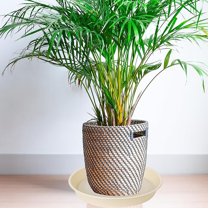 6 Pack of 7 inch Plant Saucer Clear, Heavy Duty Plastic Plant Water Tray 7 inch Round, Flower Plant Saucers for Indoors No Holes, Plant Dishes Saucer for Planter 7"/8" (7", Beige)