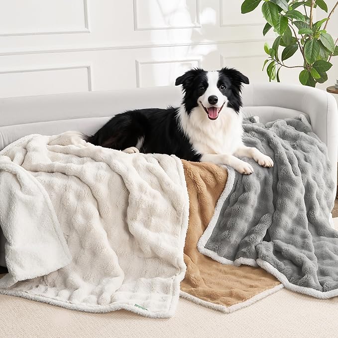 Soft Cozy Waterproof Dog Blanket for Couch - Room Decor Medium Pet Blanket for Furniture Protector, Washable Calming Dog Crate Blankets for Indoors & Outdoors, Grey, 40"x50"
