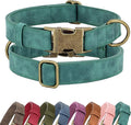 Didog Soft PU Leather Dog Collar, Stylish Quick Released Dog Collars for Medium Dogs, Easy Clean Adjustable Pet Collar for Daily Walking, Green, M Fit 13-21" Neck