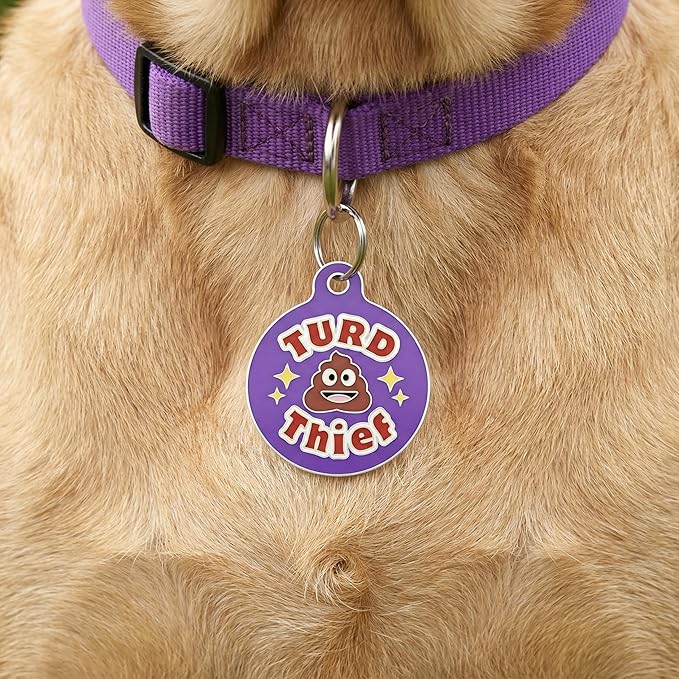 Bad Tags Personalized Dog and Cat ID Tags in 25+ Designs and 2 Sizes - 5 Lines of Custom Engraved Text - Funny Cute Personalized Pet Tags (Turd Thief, Large (1.25 inch))