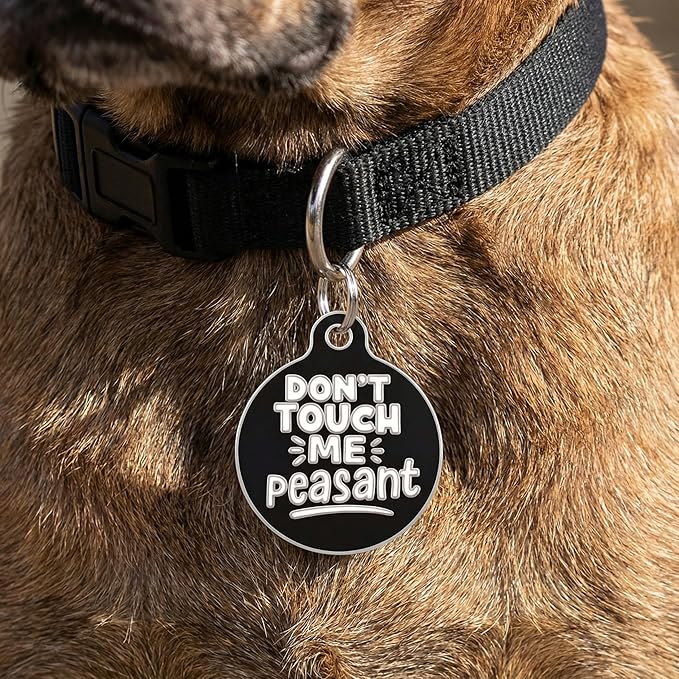 Bad Tags Personalized Dog and Cat ID Tags in 25+ Designs and 2 Sizes - 5 Lines of Custom Engraved Text - Funny Cute Personalized Pet Tags (Don't Touch Me Peasant, Large (1.25 inch))