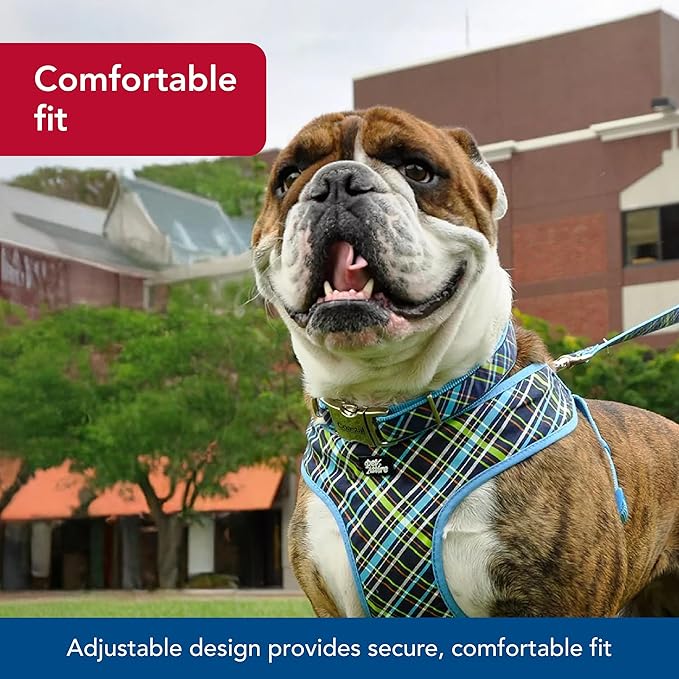 Coastal Pet - Ribbon - Adjustable Dog Collar with Metal Buckle, Brown Paws and Bones, 5/8" x 12"-18"