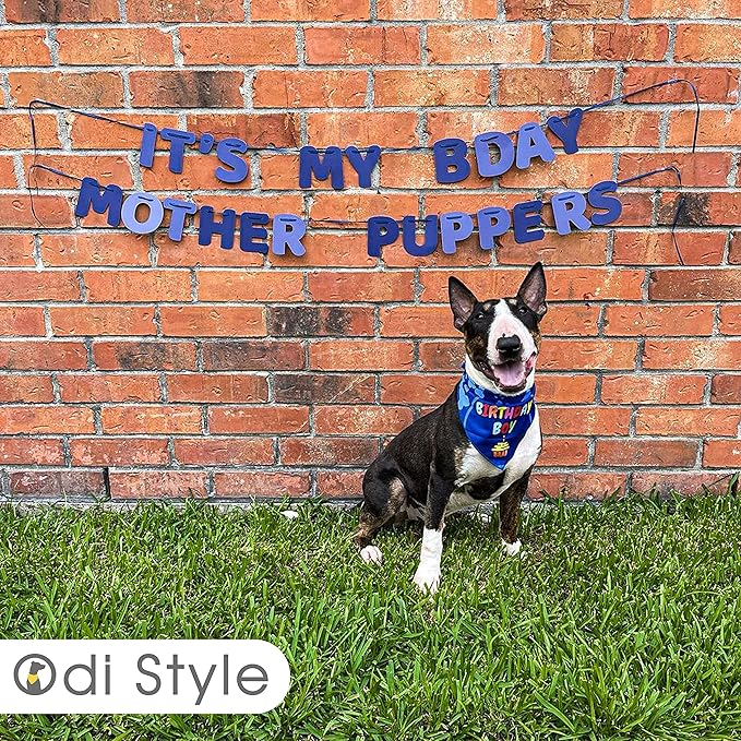 Dog Birthday Party Decorations - Bday Bandana Set - Birthday Boy Bandana for Small Dogs, Puppy, Party Hat, Crown and Cute Dog Birthday Banner with It's My Birthday Mother Puppers Sign